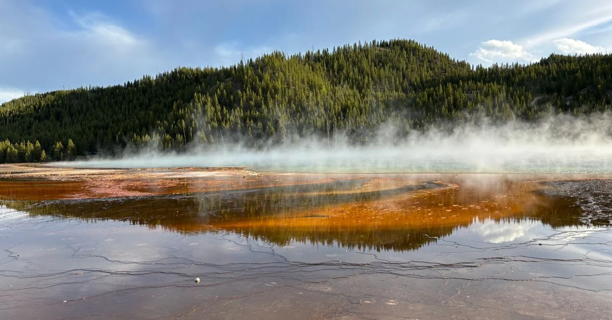 Source géothermique d'où s'élève de la vapeur à Yellowstone, reflétant les couleurs éclatantes des forêts.