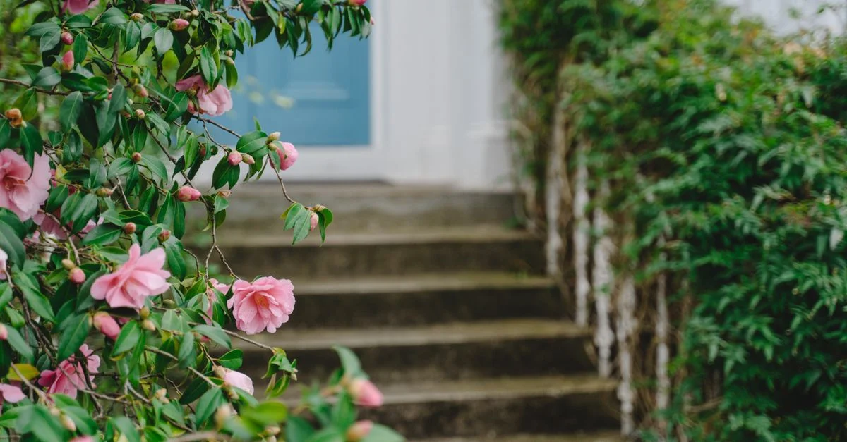 De belles roses roses en fleurs à côté d'un escalier en plein air rustique avec de la verdure.