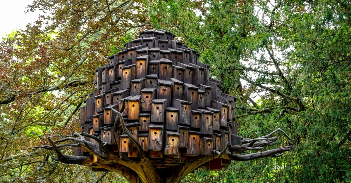 Une installation unique de nichoirs en bois ressemblant à de l'art moderne, au milieu d'arbres luxuriants en plein air.