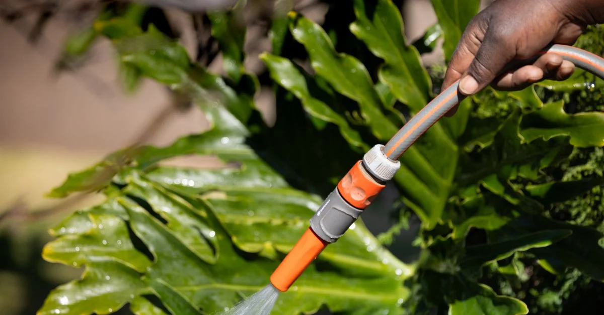 Gros plan sur une personne arrosant des plantes tropicales verdoyantes avec un tuyau d'arrosage. Scène de jardinage vibrante et rafraîchissante.