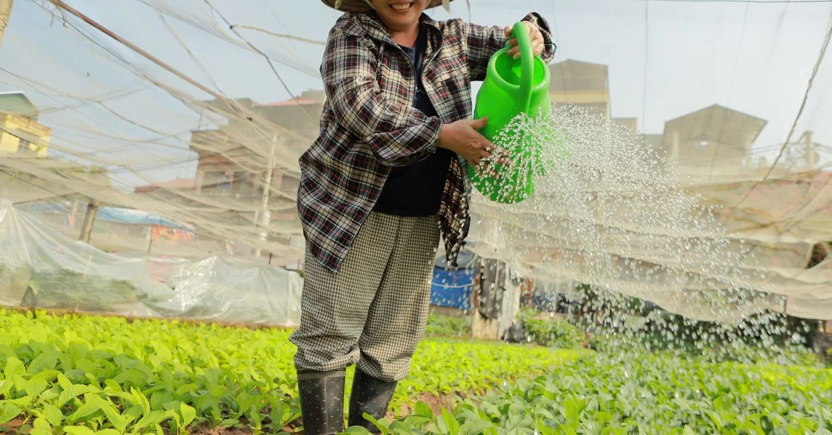 Femme asiatique souriante, arrosoir à la main, s'occupant de plantes vertes luxuriantes dans une serre.