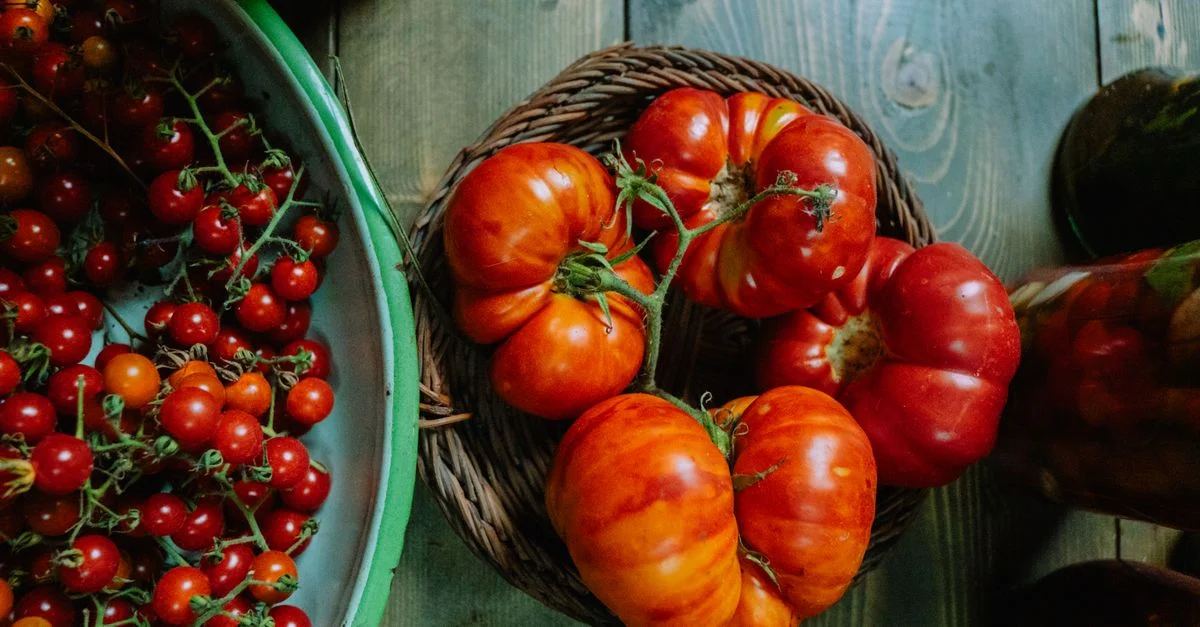 Des tomates héritage et cerises vibrantes présentées sur une table en bois rustique, évoquant une sensation fraîche et organique.