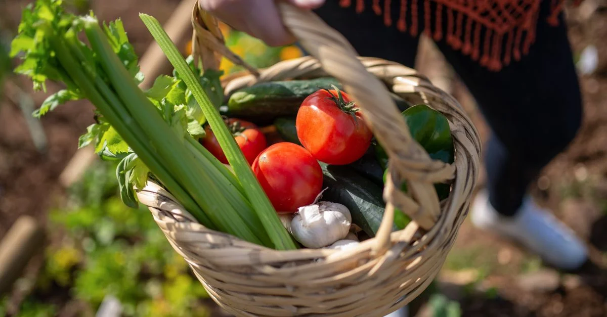 Gros plan sur des légumes biologiques frais dans un panier tenu à l'extérieur.